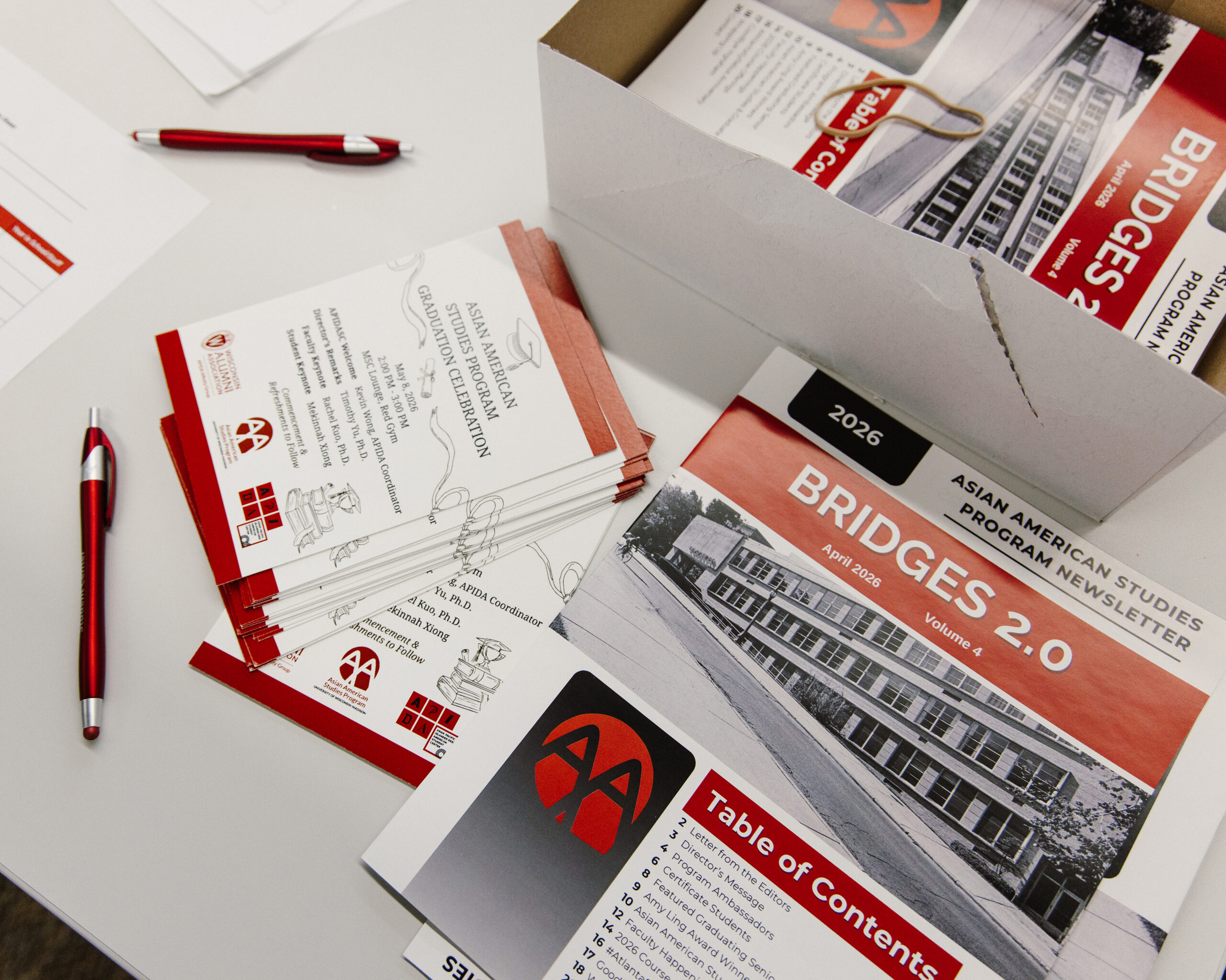 Birds-eye view of Bridges 2.0 newsletter.